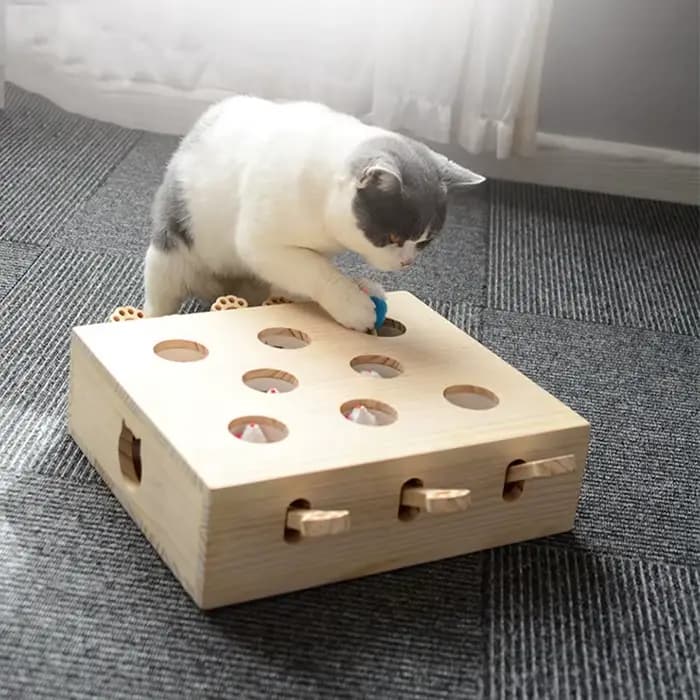 Nouveau jouet interactif de haute qualité pour chat, jouet intelligent en bois mobile populaire, con