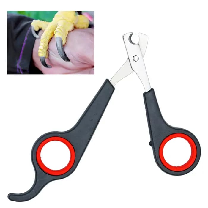 Animal de compagnie oiseau perroquet petits animaux accessoire outil de toilettage ciseaux à ongles