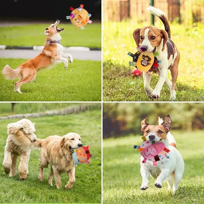 Balle de jouet Vocal en peluche pour chien, jouets interactifs amusants pour animaux de compagnie av