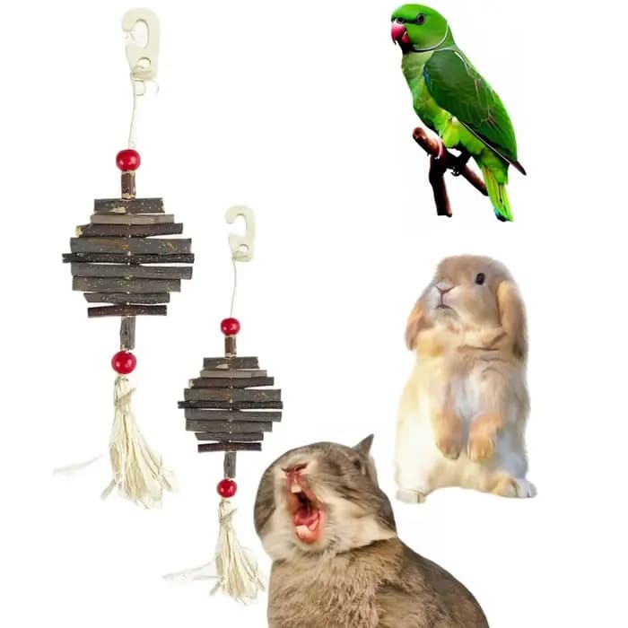 Jouet à mâcher en bois de pomme naturel, 1 pièce, ficelle suspendue pour petits animaux de compagnie
