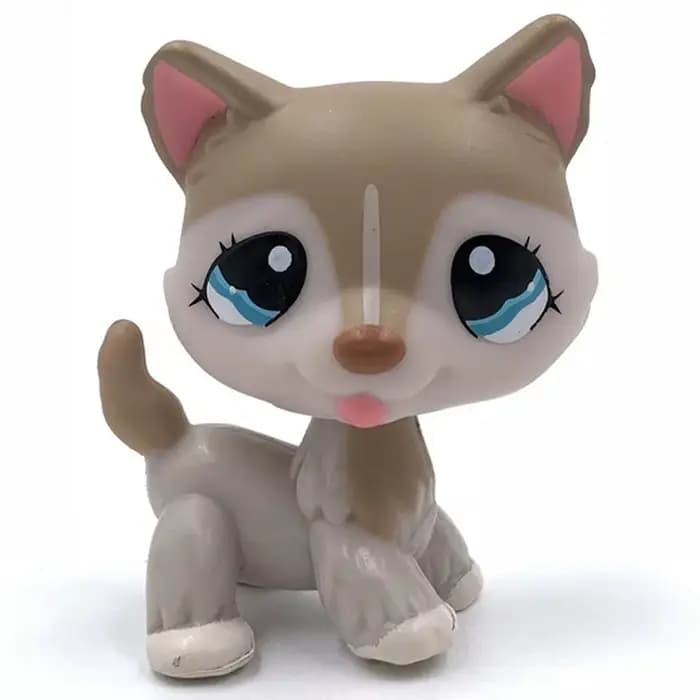 Jouet à tête de Bobble pour animal de compagnie, rare, chiot, chien # 1012 chien Bronw aux yeux bleu