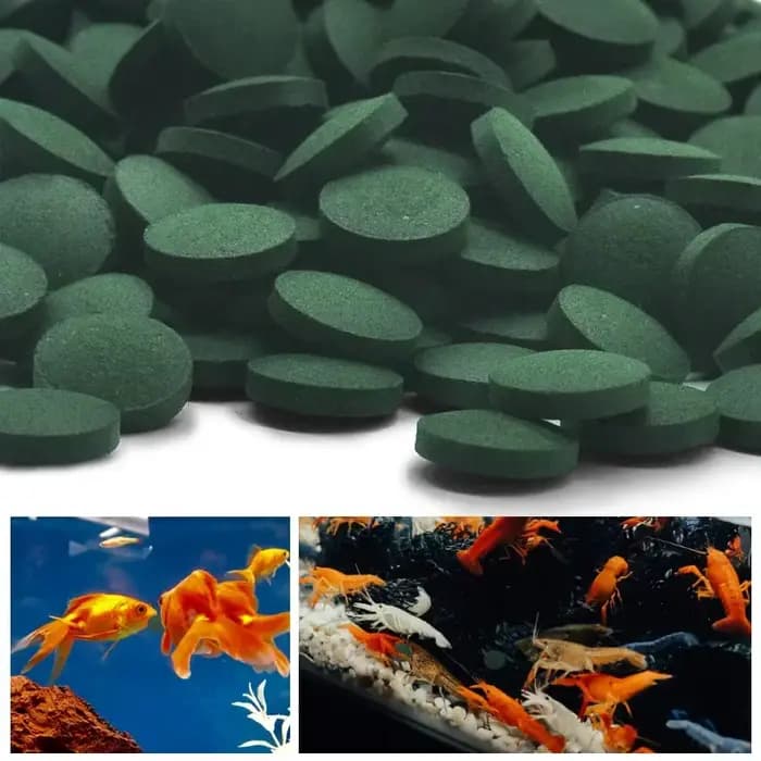 200 pièces comprimés de spiruline enrichissement nourriture pour animaux de compagnie préférée poiss