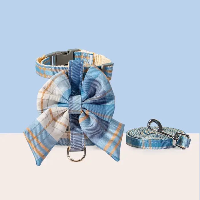 Collier pour chien et chat, harnais mignon pour animaux de compagnie, avec sangle de poitrine, corde
