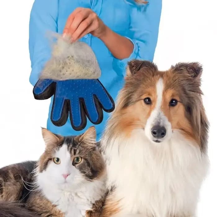 Gant de toilettage en laine pour chat et chien, brosse démêlante pour poils d'animaux, peigne de mas