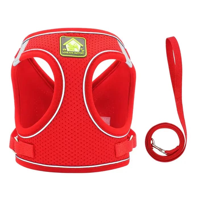 Collier de Marche SFP pour Chien et Chat, Maille Réglable, Accessoire Adapté aux Animaux de Petite e