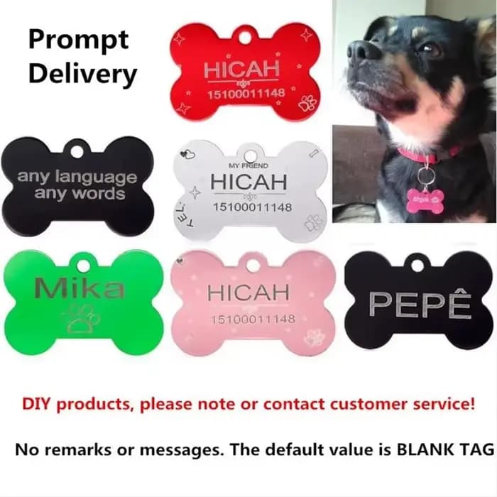 Étiquettes d'identification personnalisées pour petit chien et chat, 2 pièces/lot, étiquettes de col