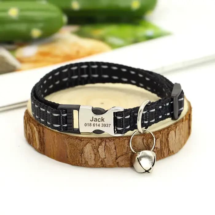 Collier de chat avec plaque signalétique personnalisée, collier de sécurité personnalisé pour chat,