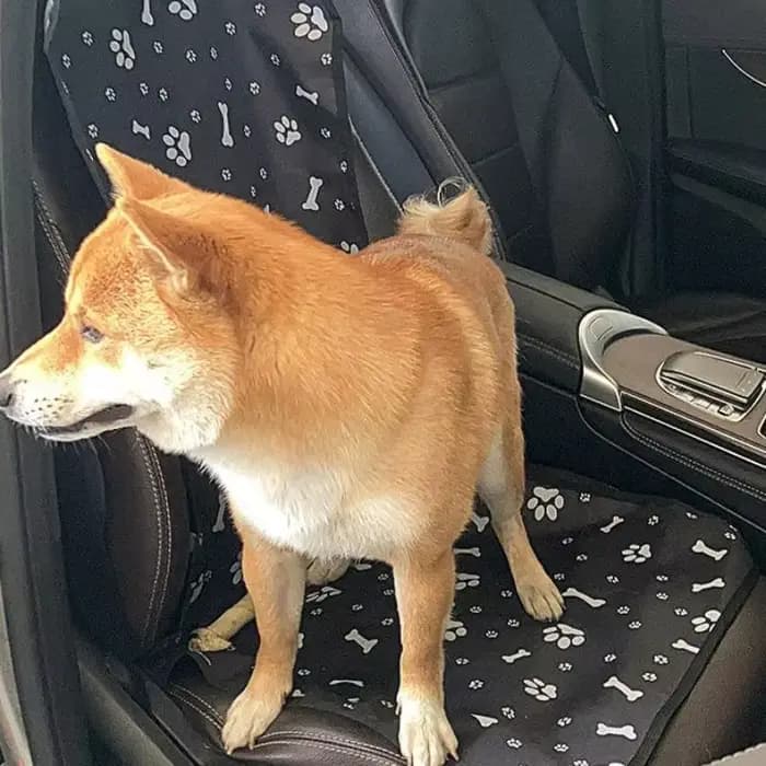 Housse de siège de voiture imperméable pour animaux de compagnie – Tapis antidérapant en tissu Oxfor