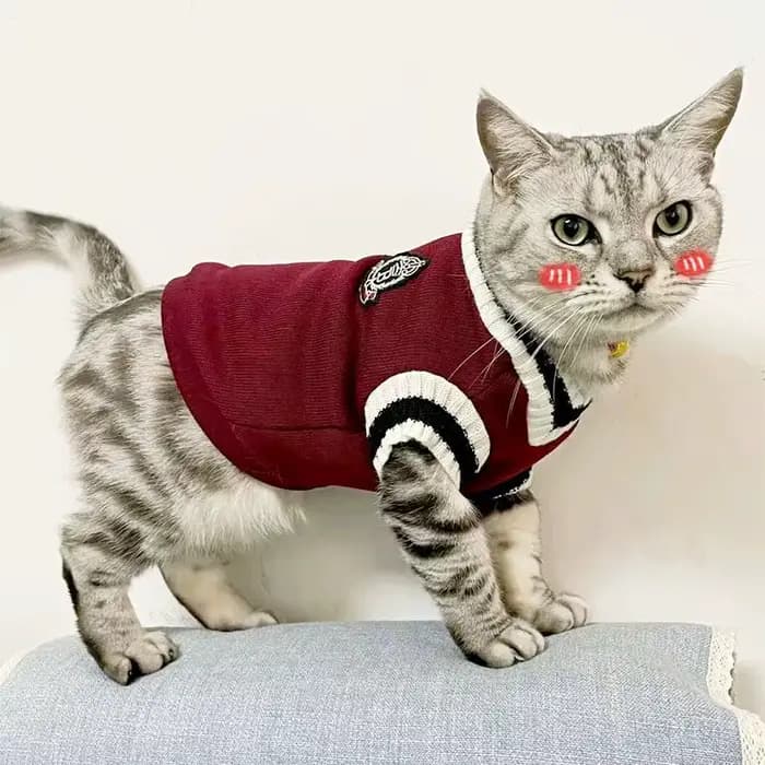 Pull tricoté pour chien de compagnie, vêtements pour petits et moyens chiens, uniforme scolaire remb