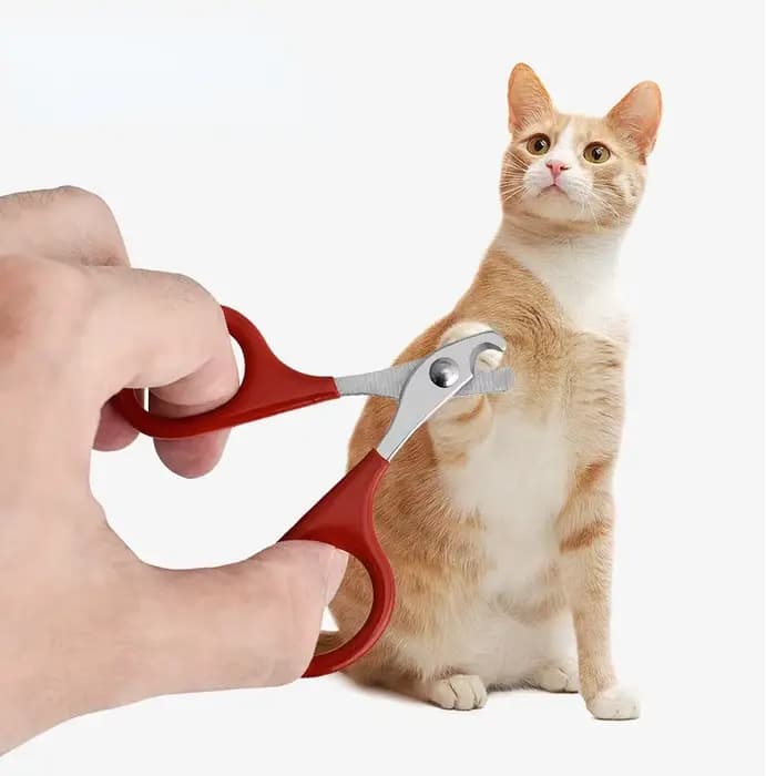 Ciseaux à ongles professionnels pour chat, coupe-ongles pour chien, coupe-ongles pour orteils, fourn