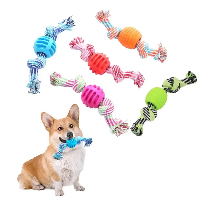 Jouet pour chien, corde en coton, boule à double nœud, résistant aux morsures, jouet de nettoyage de