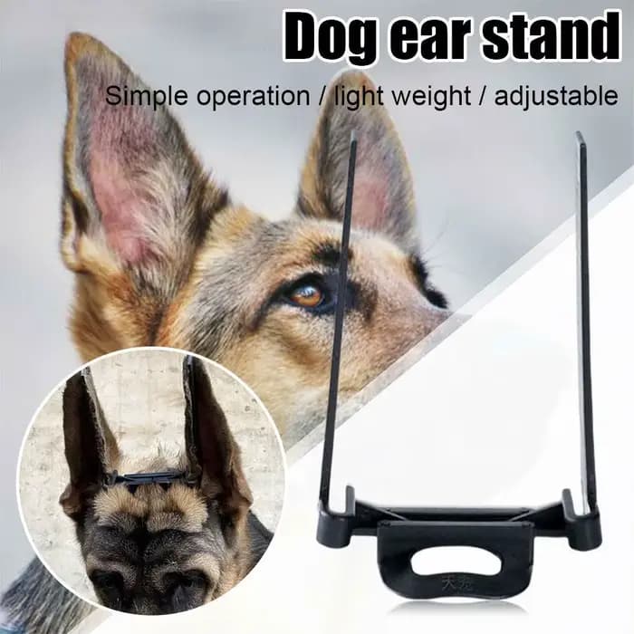 Support d'oreille réglable pour chien, correcteur d'oreille, pour Doberman Pinscher, pour chien Samo