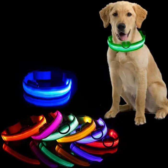 Collier Anti-perte pour chien, lumière Led, fournitures lumineuses de nuit pour chiots, produits pou
