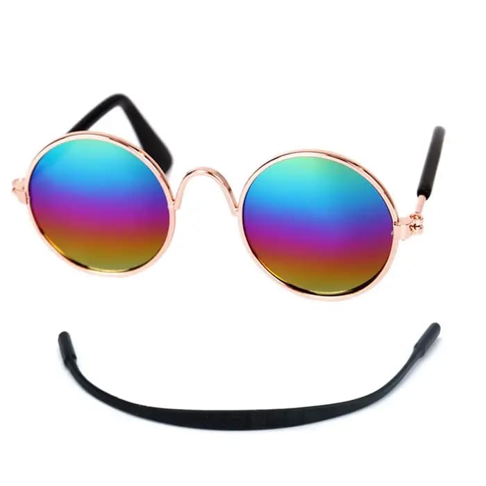 Lunettes rondes Vintage pour animaux de compagnie, accessoires pour chats, accessoires de Photos pou
