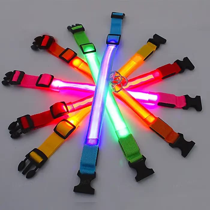 3 Modes chien collier de Charge lumineux Led Usb chat chiens colliers détachable nuit Led lueur chie