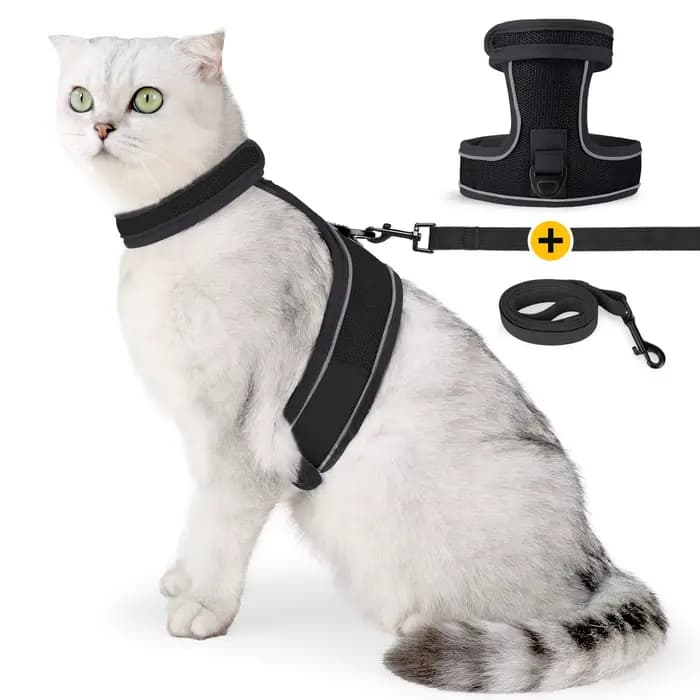 Harnais pour chat-harnais réglable anti-fuite pour chat, confortable et doux, harnais pour chaton de