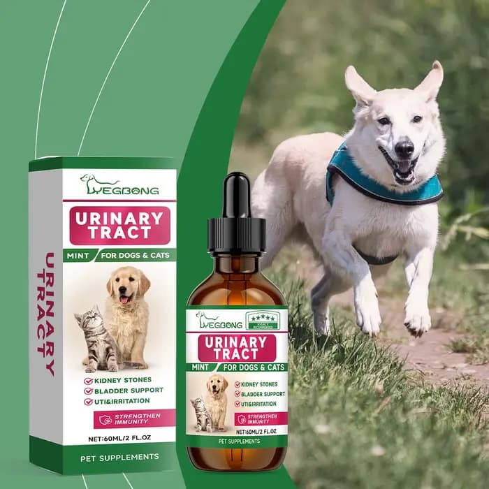 Yegbong Complément de soin pour animaux de compagnie pour favoriser la santé des reins – Améliore la