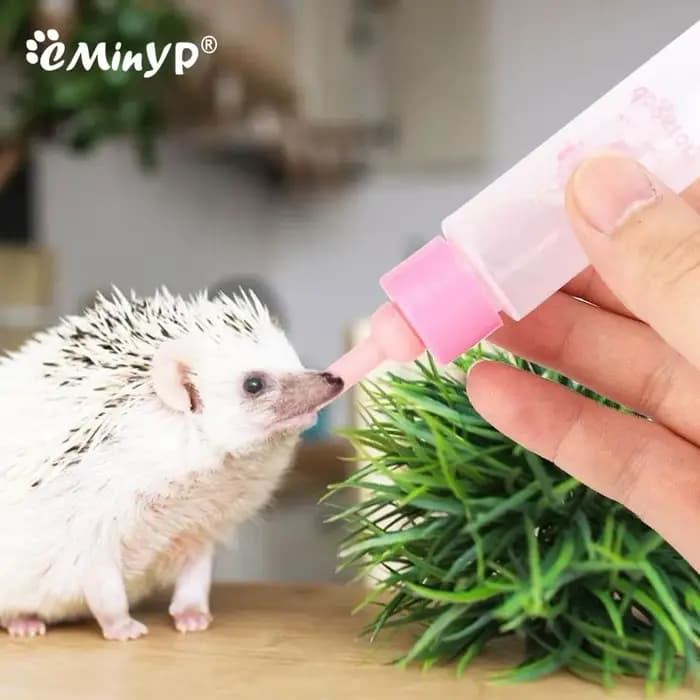 Biberon de lait pour animaux de compagnie, tétine en Silicone pour bébé Hamster, nouveau-né, chat, b