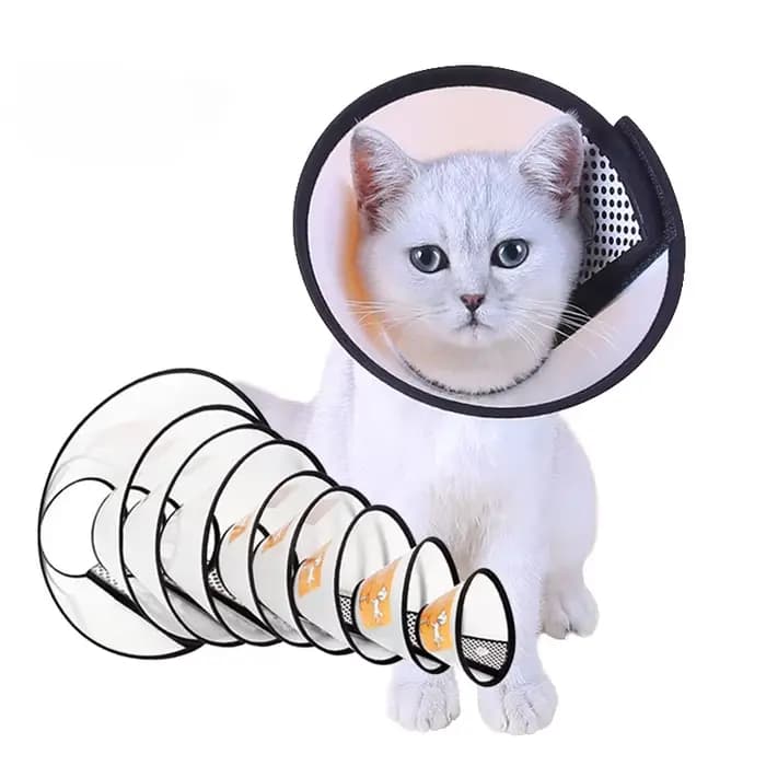 Collier de protection pour animaux de compagnie, cône de récupération du cou du chien, Anti-morsure,