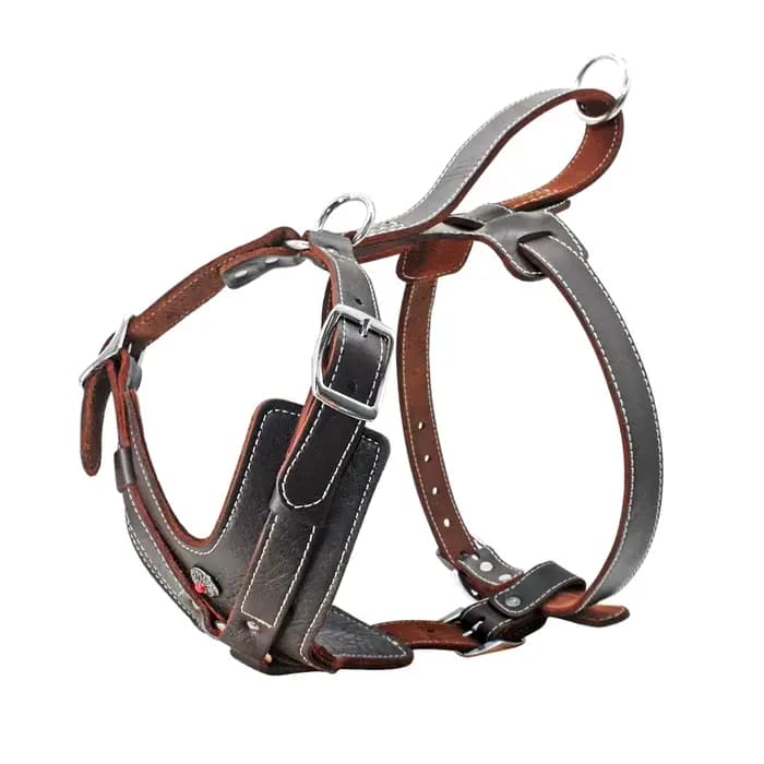 Harnais Durable pour chiens de grande taille, harnais en cuir véritable, gilet d'entraînement pour a