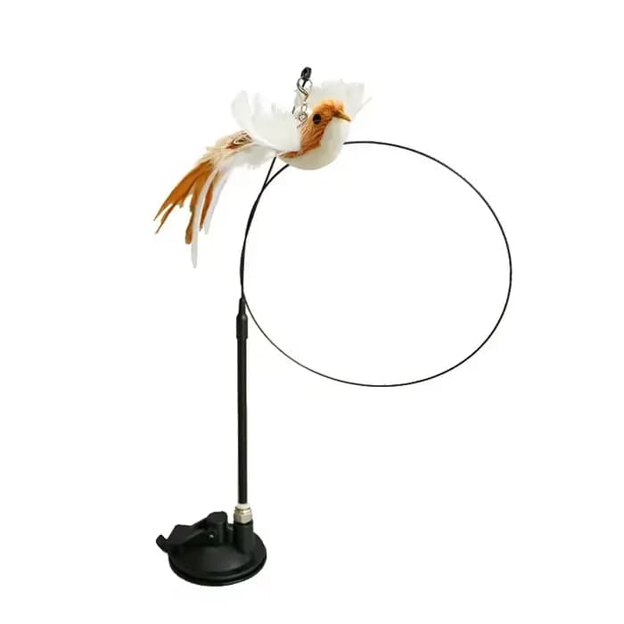 Jouet interactif pour chat, bâton mains libres pour chaton, baguette Teaser, jouet à ventouse, oisea