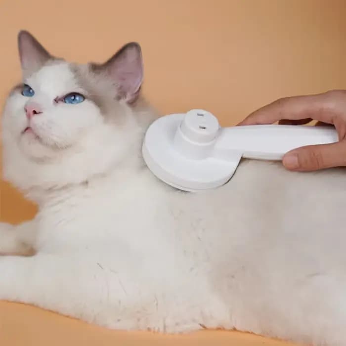 Brosse de nettoyage des poils de chat, peigne d'épilation des poils de chien, outil de toilettage po