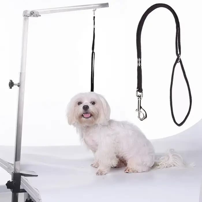 SFP-Laisse de sécurité pour chiots et chiens, ULde retenue pour table de toilettage, bras de bain, a