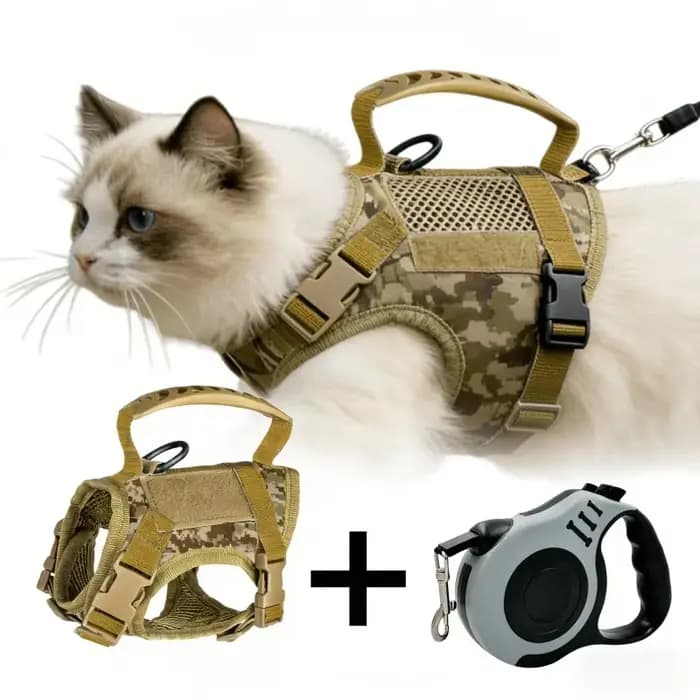 Harnais anti-évasion pour chat avec laisse rétractable, harnais réglable avec poignée pour la promen