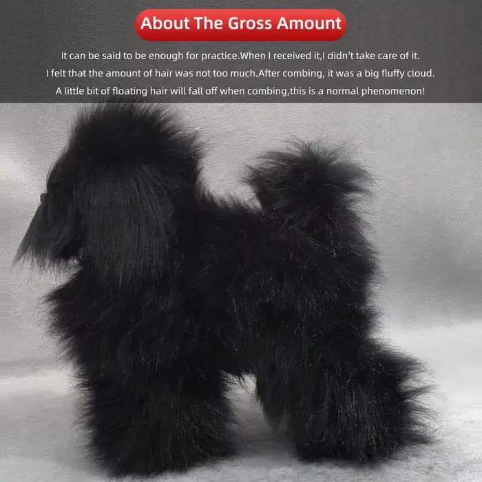 Modèle professionnel de toilettage pour animaux de compagnie, pour pratique de toilettage, modèle sq