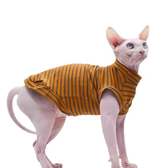 Vêtements d'été en coton respirant pour chat sans poils, glaçure fine pour Sphynx,Devon Rex ,Cornish