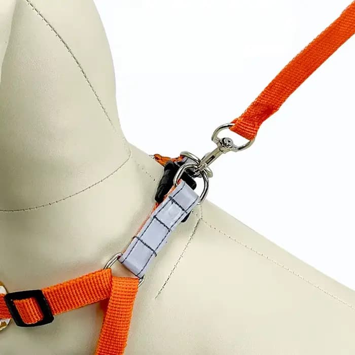 Harnais pour chien de compagnie en nylon, sangle de poitrine réfléchissante sans traction, collier r
