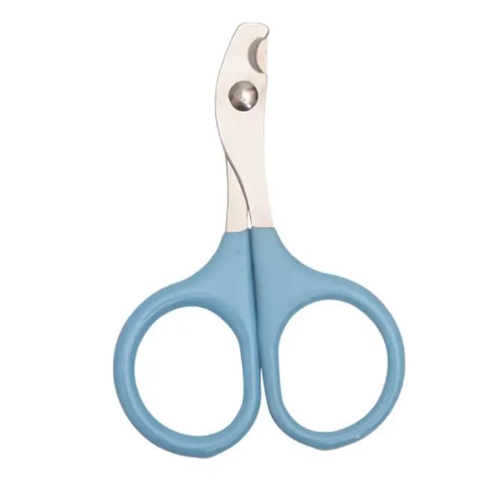 Ciseaux à ongles pour chat et chien, coupe-ongles pour orteils, produits professionnels de toilettag