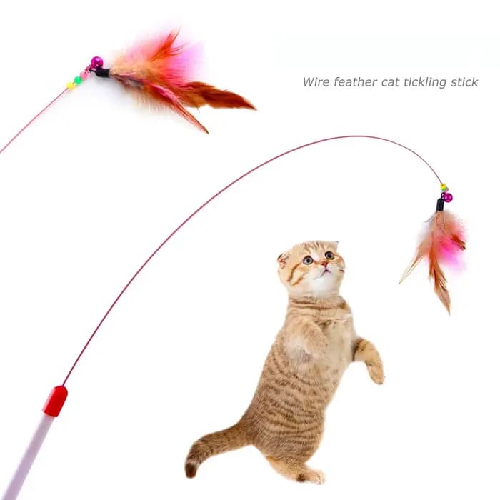 Bâton de chatons en fil de fer, plumes, produits pour animaux de compagnie, jouets interactifs, chat