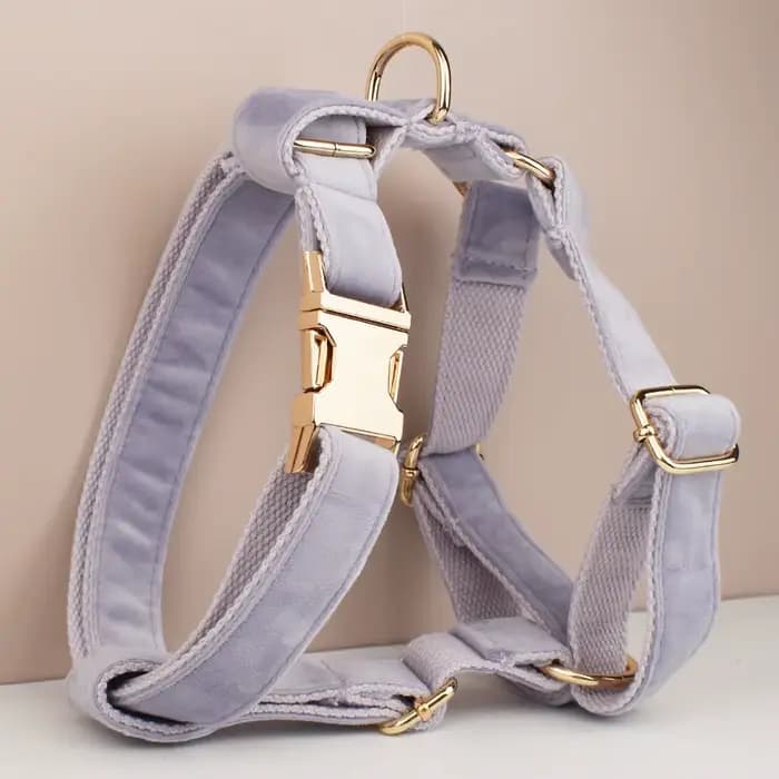 Harnais pour chien robuste en métal de haute qualité, laisse pour harnais pour chien, bricolage