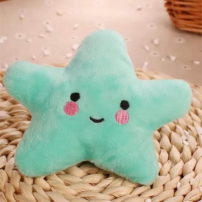 Pentagramme en peluche pour chiot, jouets grinçants pour petits et moyens chiens, mâcher agressifs e