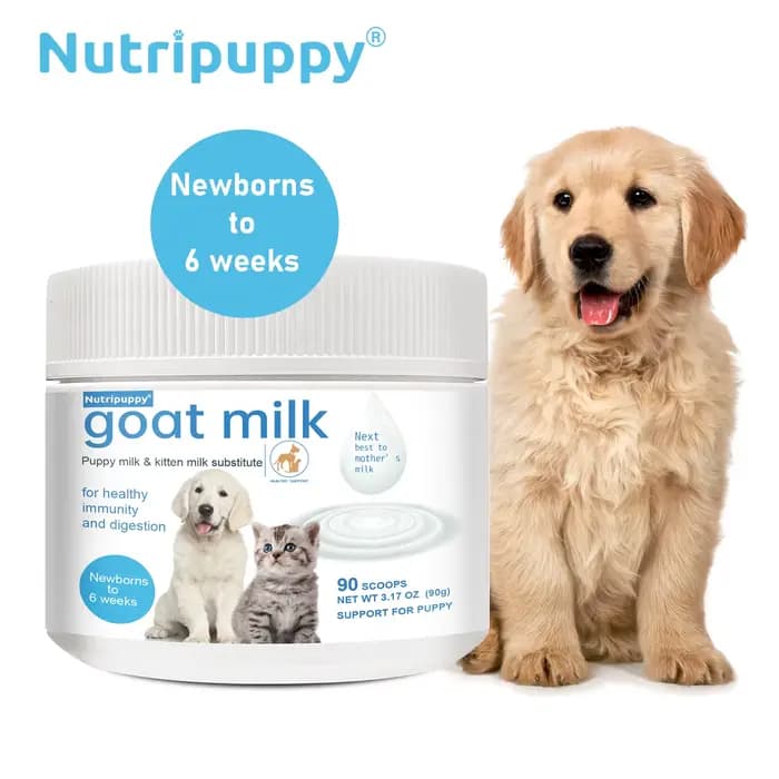 Formule probiotique à haute teneur en calcium, lait de chèvre en poudre pour animaux de compagnie, s