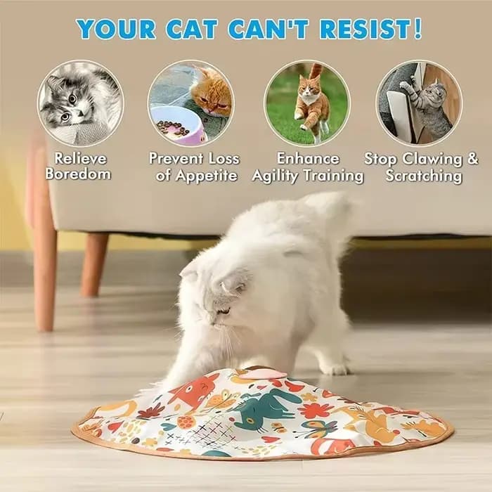 Jouet électrique pour chat, chargement USB, Puzzle interactif rotatif à 360 degrés, articles intelli