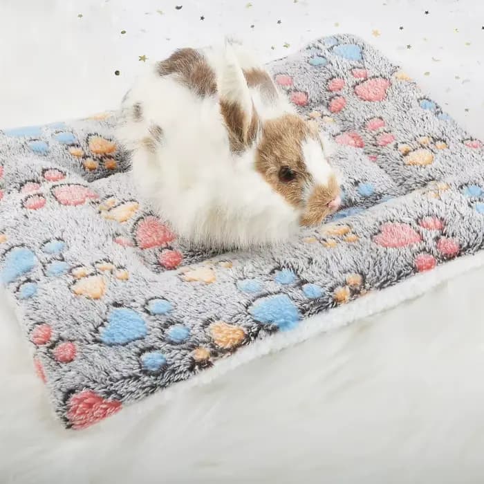 Tapis de lit épais en flanelle pour chien, tapis de couchage doux pour animaux de compagnie, couvert