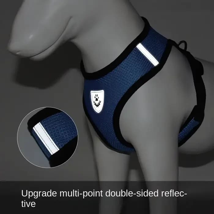 Harnais d'été pour chien et chat, laisse en plomb, gilet réglable, maille en Polyester, respirant, r