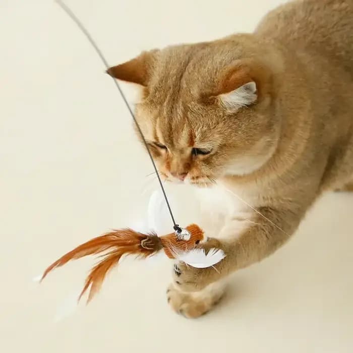 Jouet interactif pour chat, bâton mains libres pour chaton, baguette Teaser, jouet à ventouse, oisea