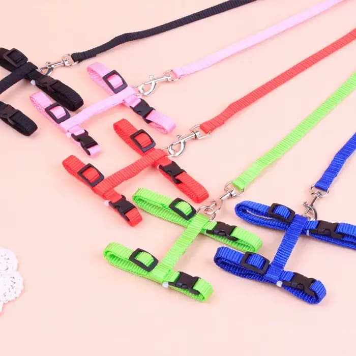 Ensemble harnais et laisse pour chat Sphynx bon marché, harnais pratique pour animaux de compagnie,