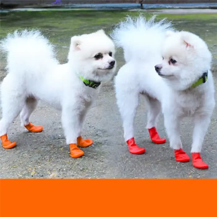 Bottes de pluie imperméables coordonnantes pour animaux de compagnie, bottes en caoutchouc pour ball