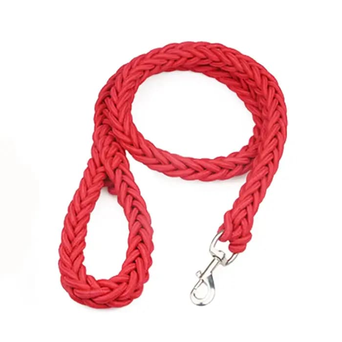 Harnais en Nylon pour chiens de taille moyenne et grande, laisse pour l'entraînement des animaux de