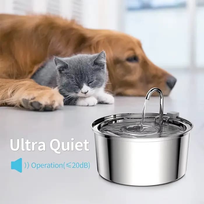 Distributeur d'eau pour animaux de compagnie en acier inoxydable, fontaine d'eau automatique pour ch