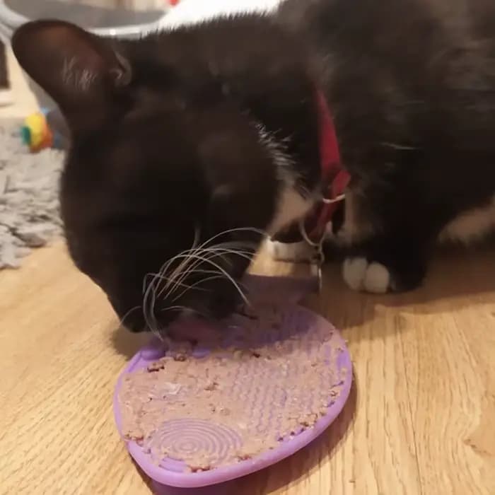 Bols en silicone avec ventouse pour aliments lents pour chats, produits à lécher pour animaux de com