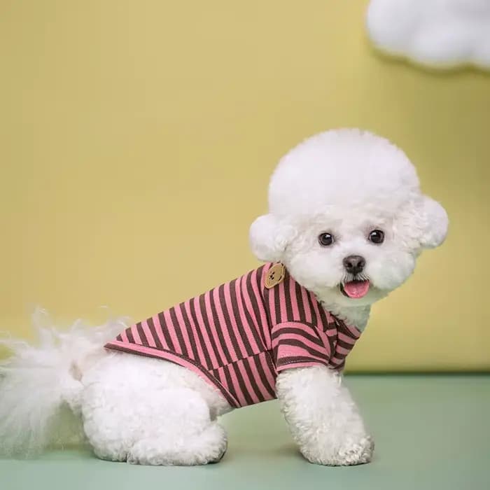 Vêtements d'été pour animaux de compagnie pour petits chiens, chemise à la mode pour chien, imprimé