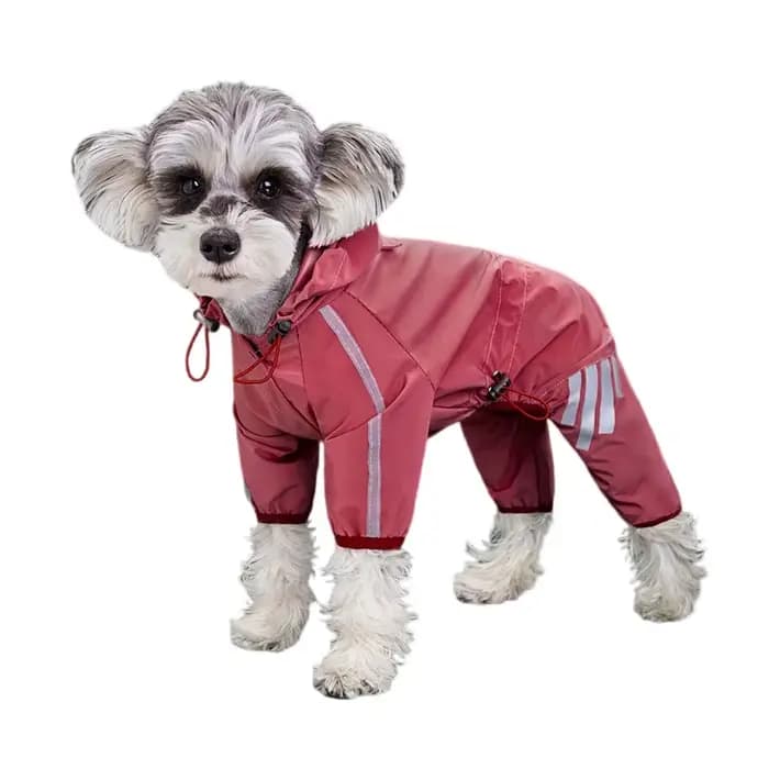 Imperméable Réfléchissant pour Chien – Vêtement de Pluie pour Animaux de Compagnie (Chihuahua, Malte