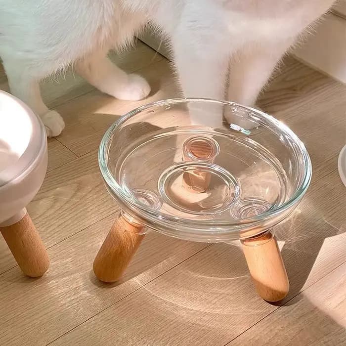 Mangeoire pour chat de 500ml, bol pour chien, n'est pas facile à frapper, hauteur accrue pour protég