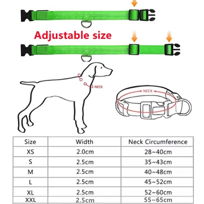Collier de chien lumineux LED réglable clignotant Rechargea collier lumineux nuit Anti-perte harnais