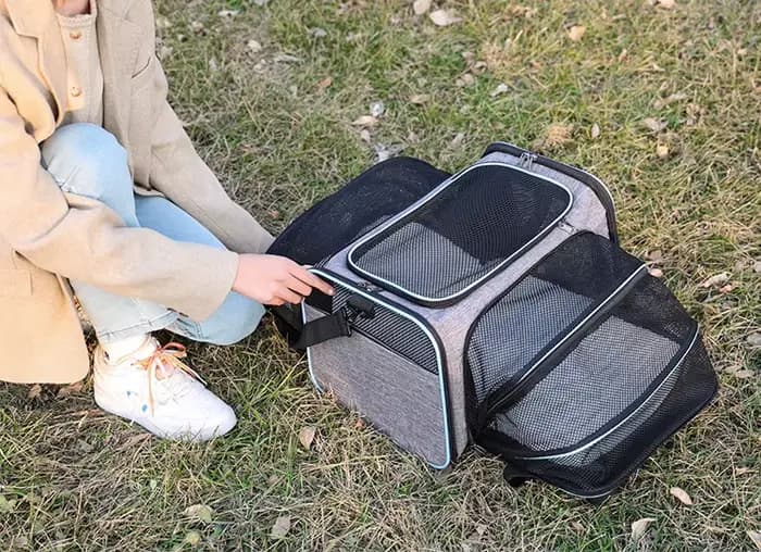 Sac de transport pour animaux de compagnie pliable petit chien Charter transportant chat sac d'exten